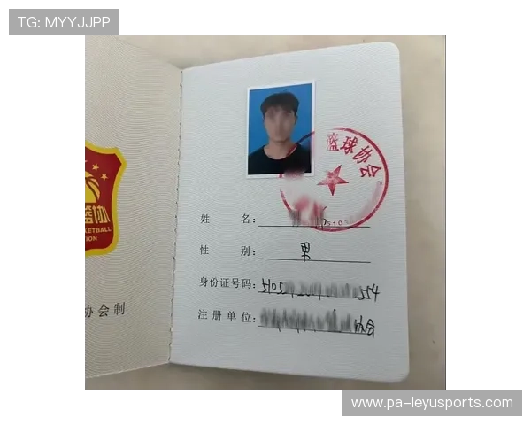 中国篮球裁判队伍培训体系进一步完善，篮球裁判培训课程