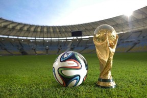 世界拳击国际友谊周：多国交流赛成功举办