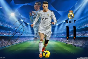 黄蜂新人持续提升得到更多出场时间，黄蜂队员