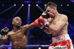 红雀士气低迷，主帅称需寻找新节奏，红雀是什么