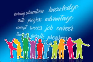 乐鱼体育平台-中国篮球教练员职业发展规划及培训体系优化，中国篮球教练员职业发展规划及培训体系优化研究