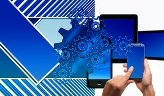 乐鱼vip-中国篮球联赛品牌建设策略与粉丝经济发展路径，中国国内的篮球联赛简称