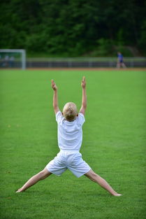 乐鱼体育官网登录-高校体育运动训练强度调控与效果研究,高校体育运动训练强度调控与效果研究论文